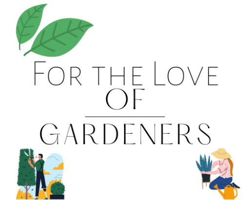 The Green Thumb Chronicles: Cultivating a Garden Paradise