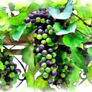 do grapes grow on trees - The Green Thumb Chronicles: Cultivating a
