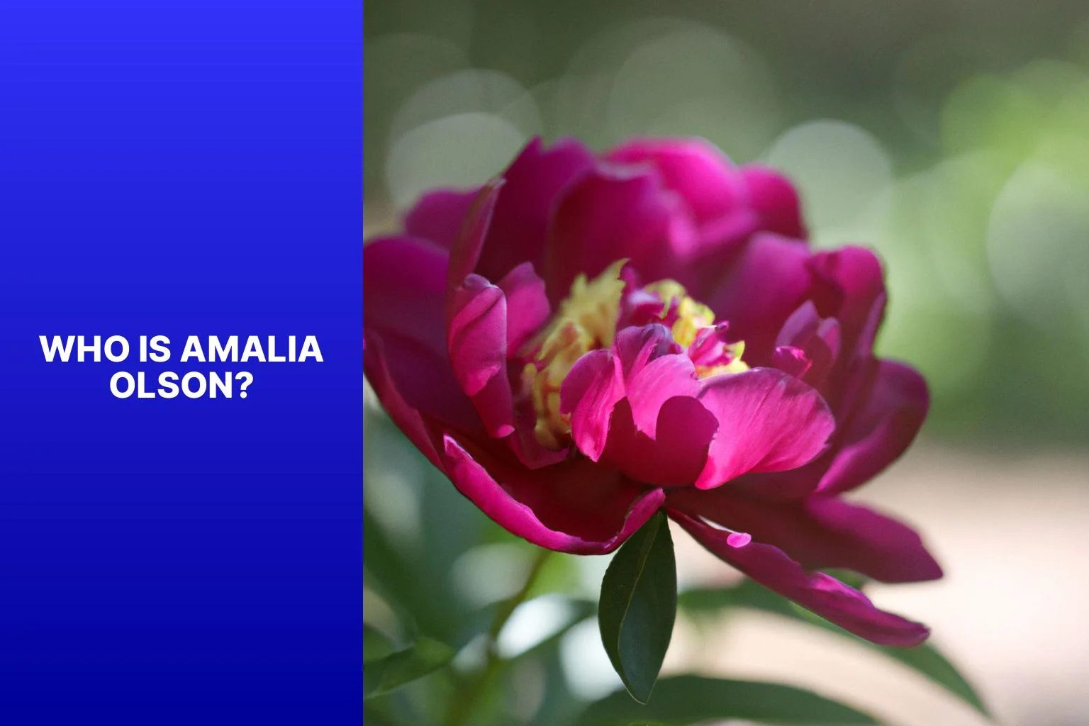 Who is Amalia Olson? - Amalia Olson Peony 