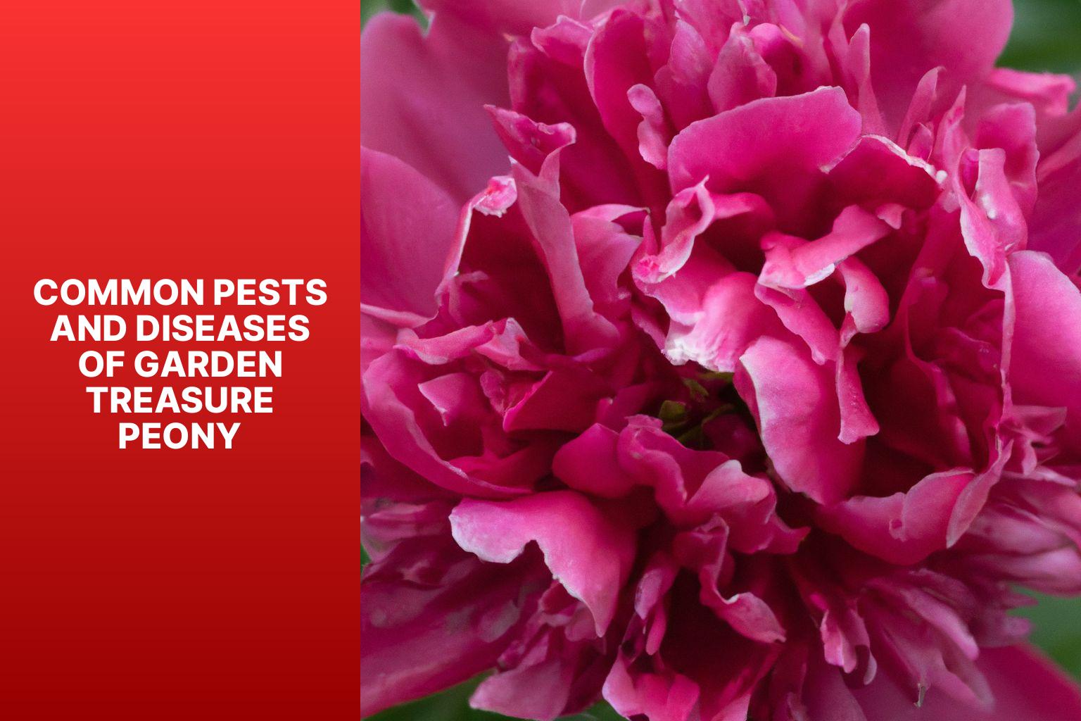 Common Pests and Diseases of Garden Treasure Peony - Garden Treasure Peony 